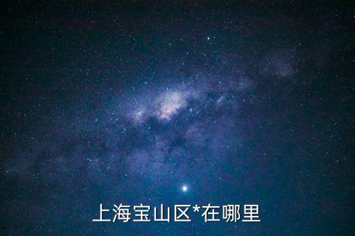 上海寶山區(qū)*在哪里