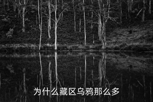 為什么藏區(qū)烏鴉那么多