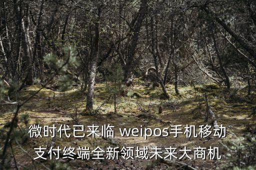 移動(dòng)支付終端，現(xiàn)在的移動(dòng)支付終端都有哪些特點(diǎn)