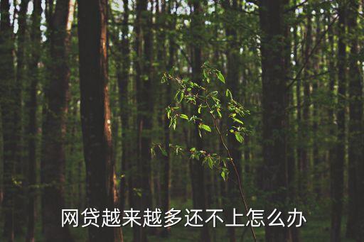 網(wǎng)貸還不上怎么辦,借了很多網(wǎng)貸還不上怎么辦