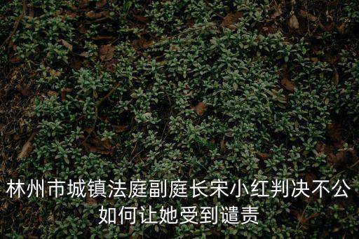 林州市城鎮(zhèn)法庭副庭長(zhǎng)宋小紅判決不公如何讓她受到譴責(zé)