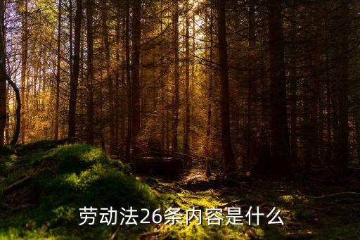 勞動(dòng)法26條內(nèi)容是什么