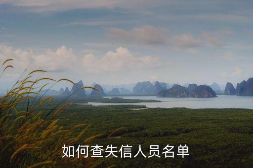 失信執(zhí)行人查詢，如何查詢失信被執(zhí)行人名單