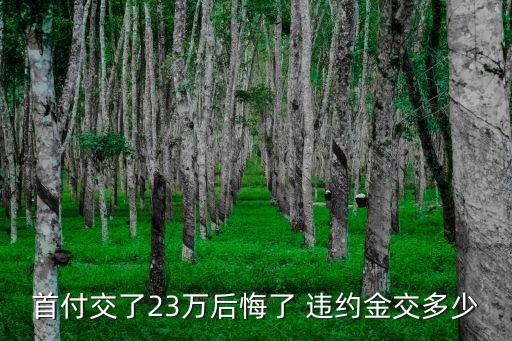 首付交了23萬后悔了 違約金交多少