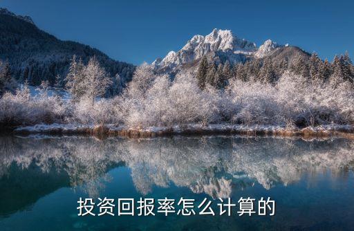 投資回報(bào)率怎么計(jì)算的