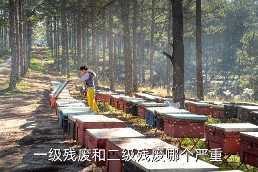一級(jí)殘廢，一級(jí)殘廢和二級(jí)殘廢哪個(gè)嚴(yán)重
