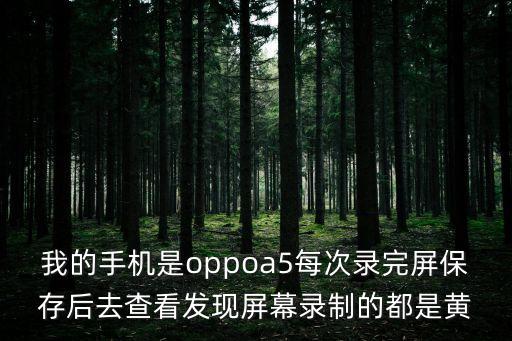 黃色錄視頻，當(dāng)發(fā)現(xiàn)你女友手機(jī)內(nèi)有黃的錄像你會(huì)怎么做
