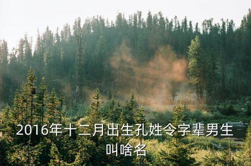 2016年十二月出生孔姓令字輩男生叫啥名