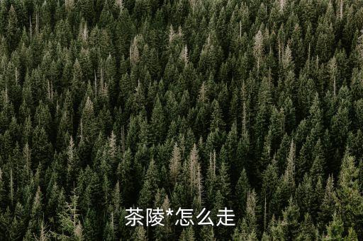 茶陵*，湖南茶陵*有幾個(gè)監(jiān)區(qū)啊