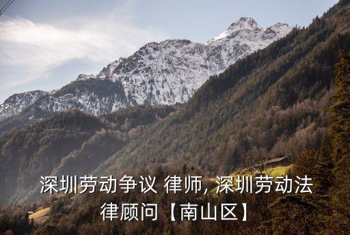  深圳勞動爭議 律師, 深圳勞動法律顧問【南山區(qū)】