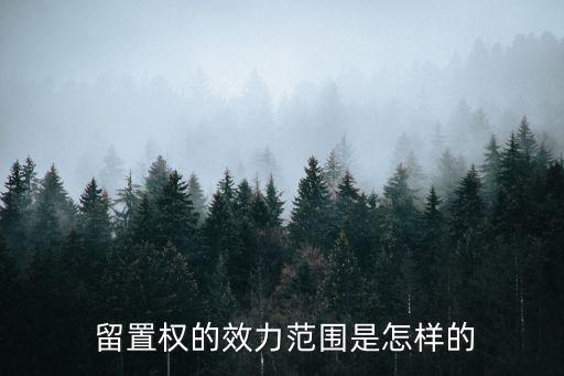 留置權(quán)