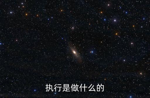 執(zhí)行是做什么的