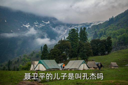 聶衛(wèi)平的兒子是叫孔杰嗎
