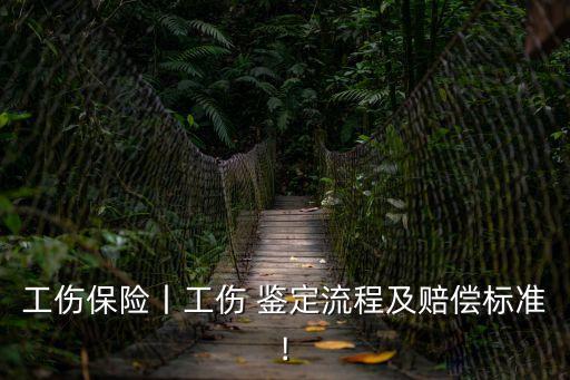 假合同如何鑒定傷殘,工傷鑒定10個(gè)月傷殘假是幾級