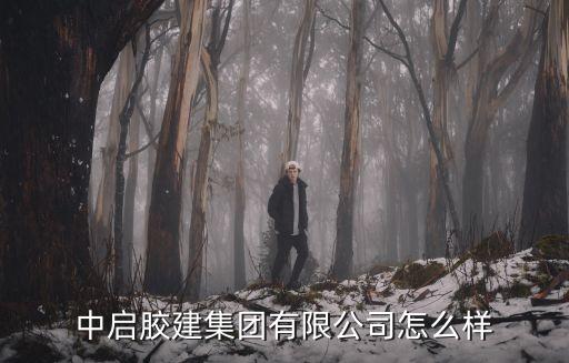 膠州市人民*,青島膠州市人民*
