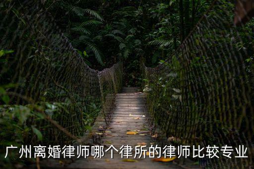 廣州婚姻律師，廣州離婚律師哪個律所的律師比較專業(yè)
