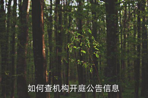 如何查機(jī)構(gòu)開庭公告信息