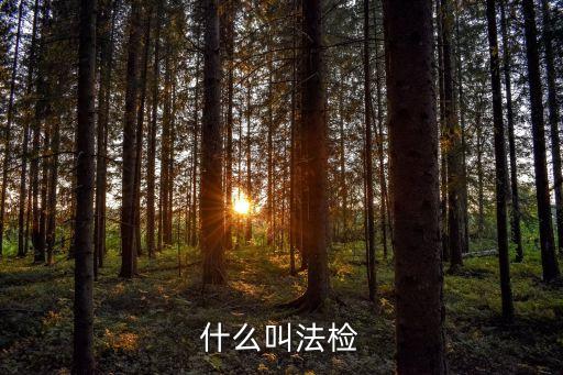 法檢，什么是法檢什么是非法檢