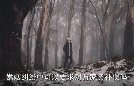 家務(wù)補(bǔ)償，設(shè)立家務(wù)勞動(dòng)補(bǔ)償請(qǐng)求權(quán)的理由