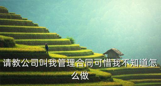 管理合同，請(qǐng)教公司叫我管理合同可惜我不知道怎么做