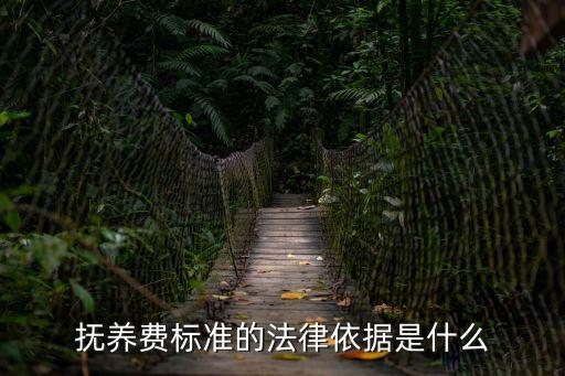 撫養(yǎng)費(fèi)標(biāo)準(zhǔn)的法律依據(jù)是什么