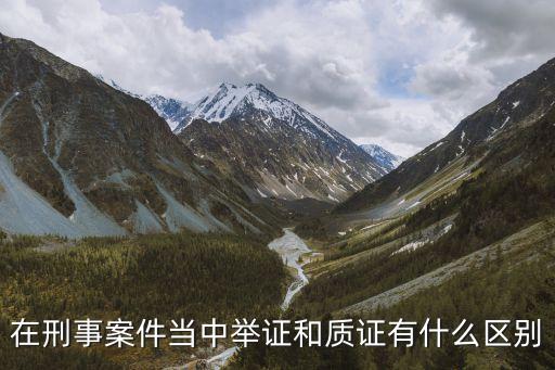 在刑事案件當(dāng)中舉證和質(zhì)證有什么區(qū)別