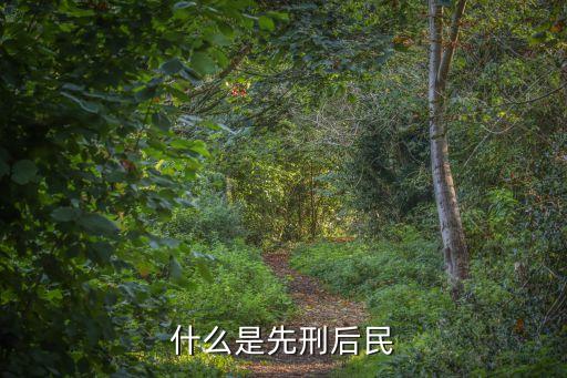 什么是先刑后民