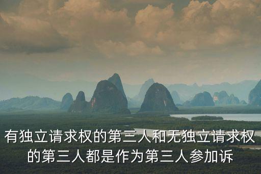 有獨(dú)三，有獨(dú)三能提出管轄權(quán)異議嗎