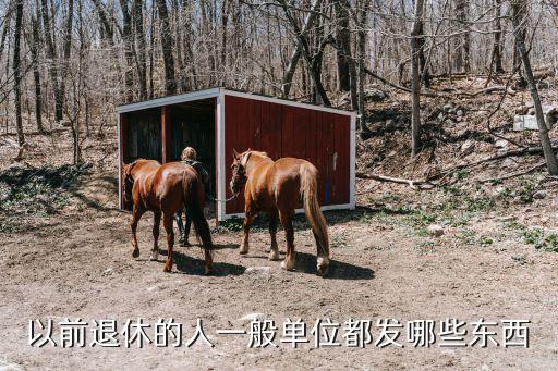 單位發(fā)放，以前退休的人一般單位都發(fā)哪些東西
