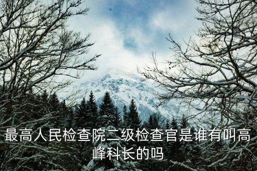 二級大檢察官，最高人民檢查院二級檢查官是誰有叫高峰科長的嗎