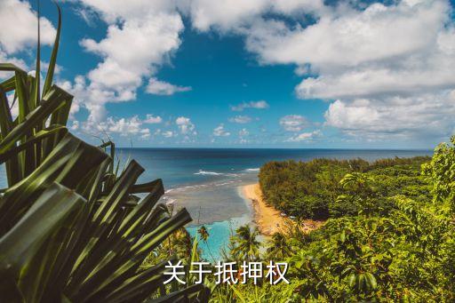 抵押權(quán)，抵押權(quán)指的是什么