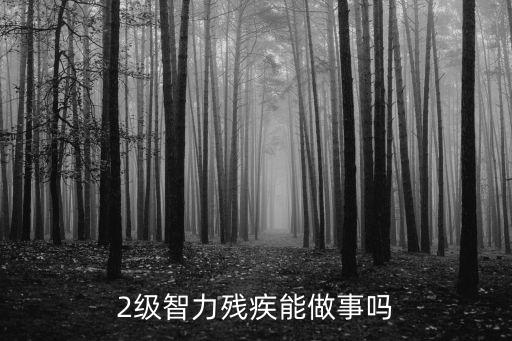 2級(jí)智力殘疾能做事嗎