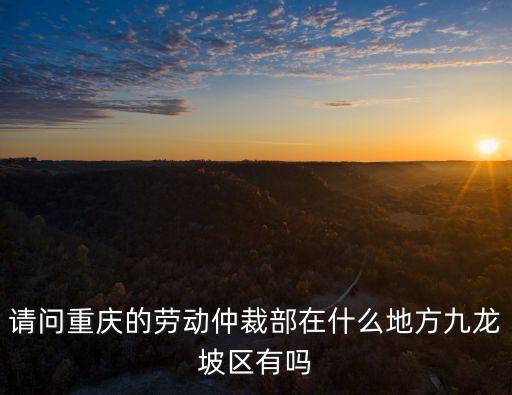 重慶仲裁委員會(huì)，重慶市勞動(dòng)糾紛向什么部門(mén)舉報(bào)