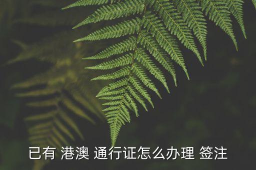 港澳通行證加簽注,深圳港澳通行證加簽注