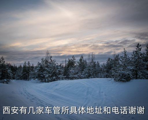 西安市車管所，西安有幾家車管所具體地址和電話謝謝