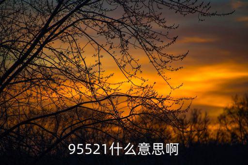 95521，今天打95521江蘇國泰君安客服熱線打不進(jìn)了為什么