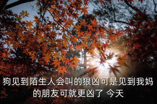鄰居?jì)寢尩呐笥眩瑡寢尩呐笥严蛩枇?2萬(wàn) 到了還款日期電話不接短信不回 家里也沒(méi)人