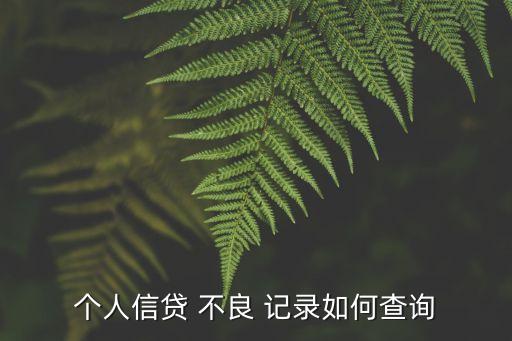 個人信貸 不良 記錄如何查詢