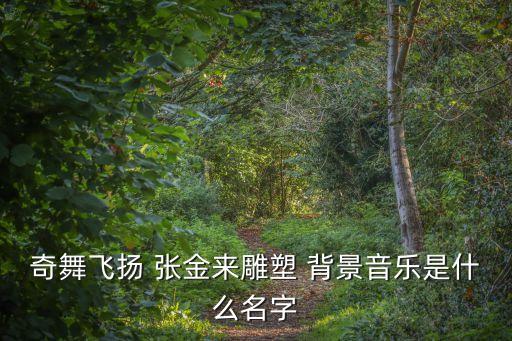 張金來，奇舞飛揚(yáng) 張金來雕塑 背景音樂是什么名字