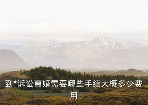 起訴離婚流程和費用，到*訴訟離婚需要哪些手續(xù)大概多少費用
