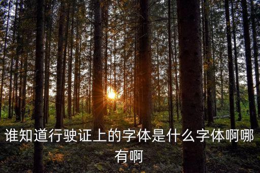 行駛證字體，行駛證上是什么字體