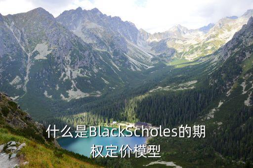 期權定價模型，什么是期權定價模型