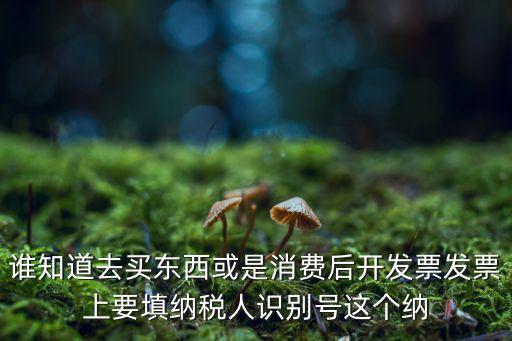 增值稅號(hào)，誰知道去買東西或是消費(fèi)后開發(fā)票發(fā)票上要填納稅人識(shí)別號(hào)這個(gè)納