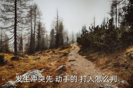發(fā)生沖突先 動(dòng)手的 打人怎么判
