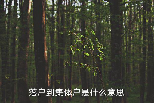 集體戶口是什么意思,農(nóng)村集體戶口是什么意思