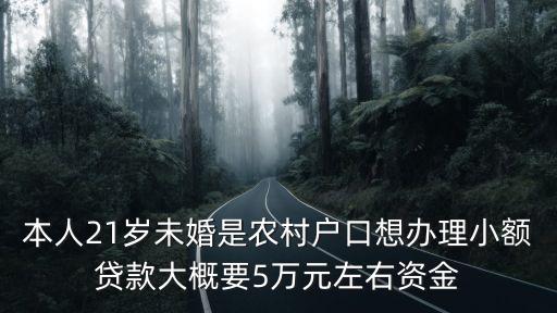本人21歲未婚是農(nóng)村戶口想辦理小額貸款大概要5萬(wàn)元左右資金