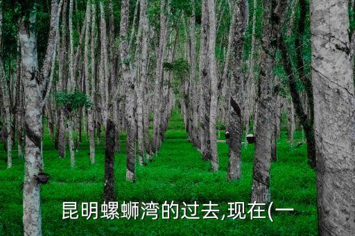 中豪集團,深圳中豪集團