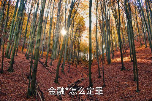 金融*罪，金融*罪可以減刑嗎