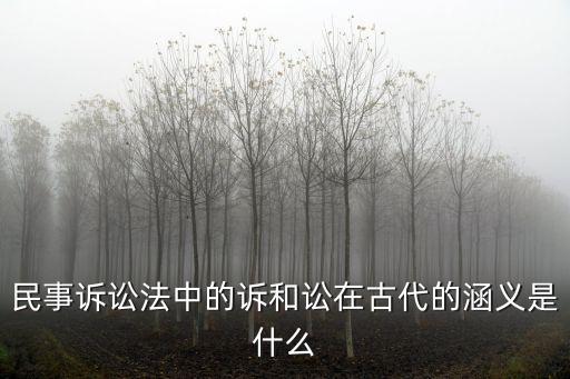 訟是什么意思,刑事附帶民事訴訟是什么意思