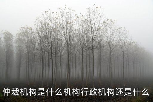 仲裁機(jī)構(gòu)是什么機(jī)構(gòu)行政機(jī)構(gòu)還是什么